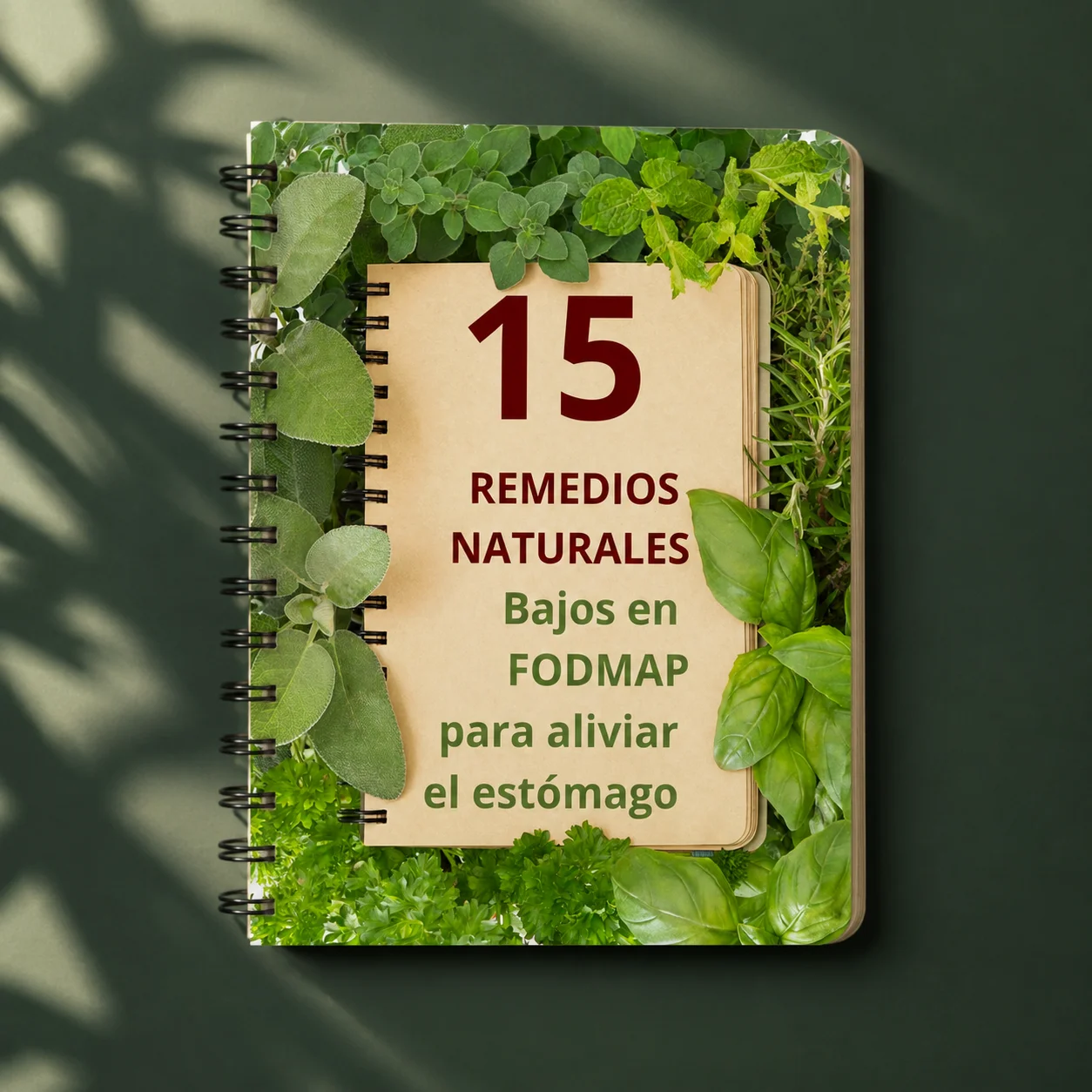 Portada del ebook 15 remedios naturales bajos en FODMAP para aliviar el estómago
